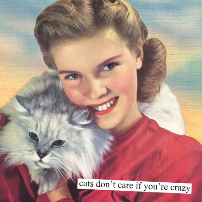 Hilariously Sarcastic Vintage Pics