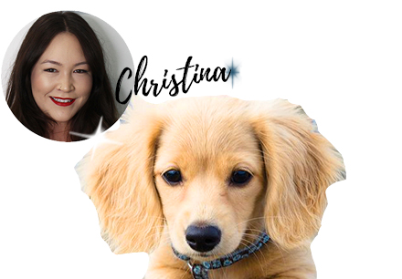 What’s on team LiB’s Christmas list?