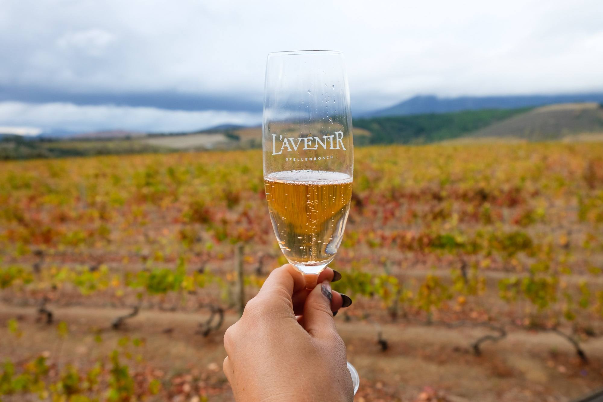 Itinerary for Two Weeks in South Africa