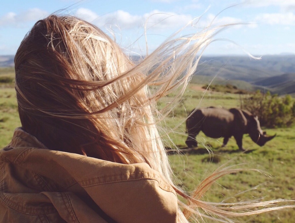 Itinerary for Two Weeks in South Africa