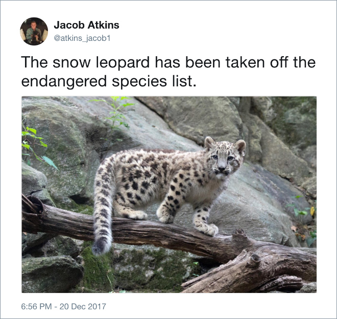 Tired of Negative News, Man Tweets Positive Things That Happened This Year