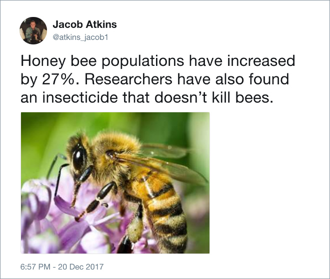 Tired of Negative News, Man Tweets Positive Things That Happened This Year