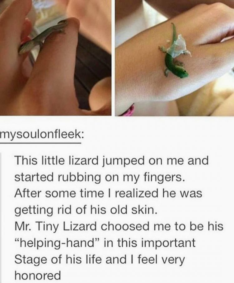 30 Wholesome Memes You Need In Your Life Right Now