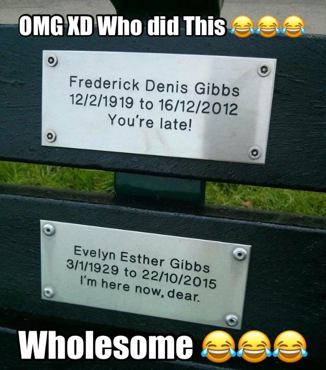 30 Wholesome Memes You Need In Your Life Right Now