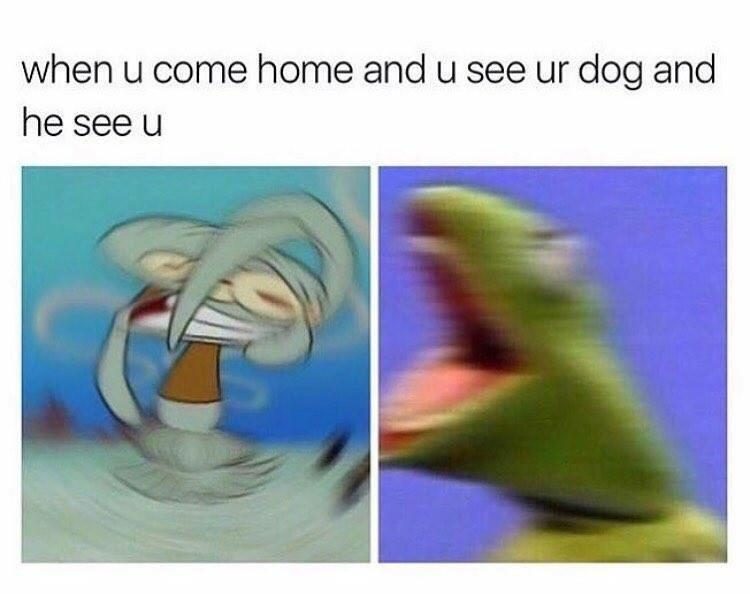 30 Wholesome Memes You Need In Your Life Right Now