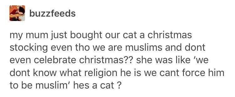 30 Wholesome Memes You Need In Your Life Right Now