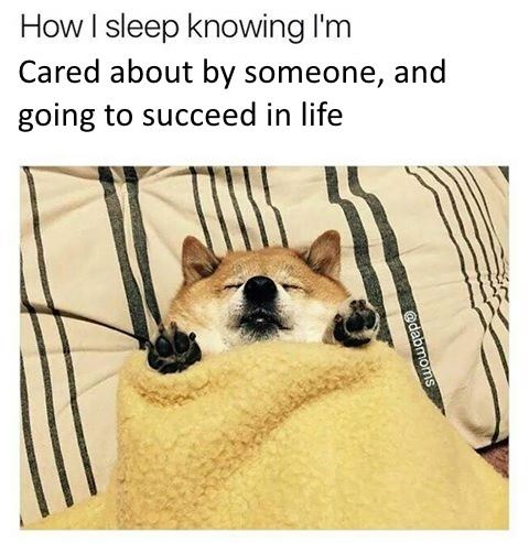 30 Wholesome Memes You Need In Your Life Right Now