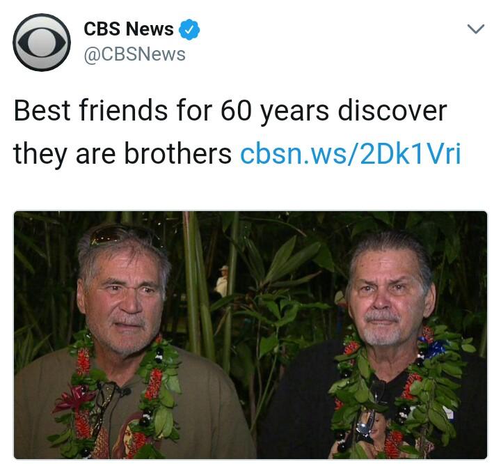 30 Wholesome Memes You Need In Your Life Right Now