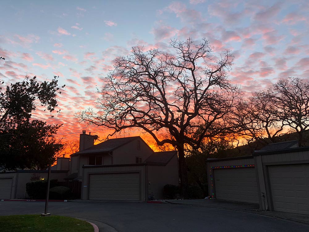 5 Things I’ve Been Loving Lately