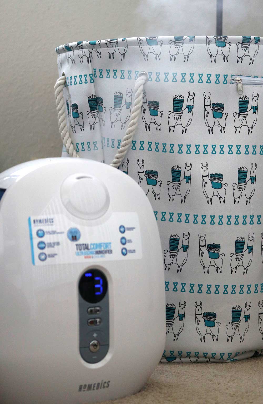 5 Things I’ve Been Loving Lately