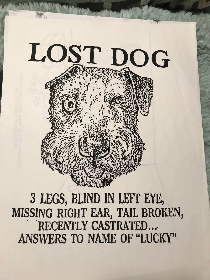 My 82-Year-Old Father Just Gave Me A Collection Of His Generation Memes/Hard Copy Internet