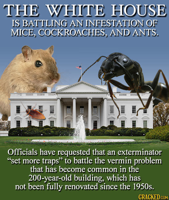 The 20 Most Insane Things That Happened In 2017