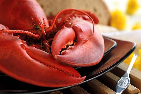 Getmainelobster.com™ Maine Shore Dinner (Dinner for 2) Giveaway