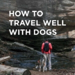 How to Move like a Pro: Moving Tips and Checklist