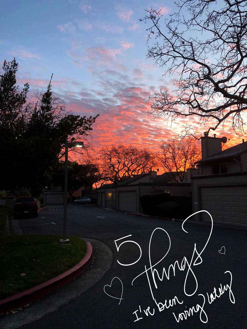 5 Things I’ve Been Loving Lately