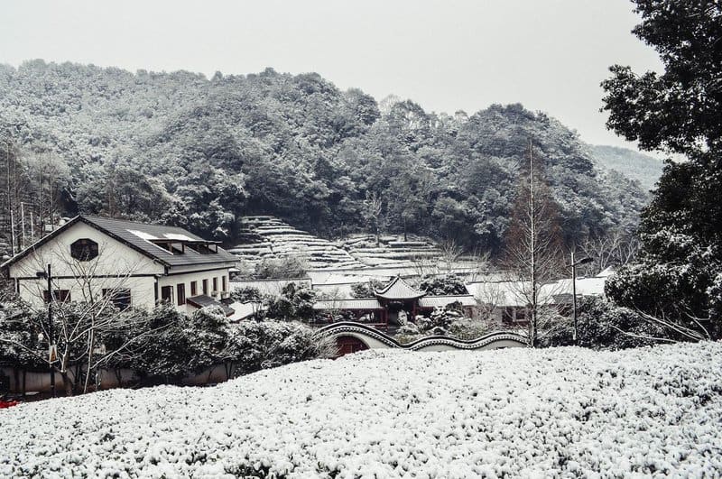 Hangzhou, Surrounded By Green Tea Fields, Is Also China’s Silicon Valley