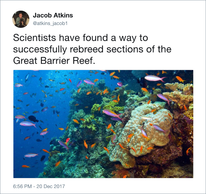 Tired of Negative News, Man Tweets Positive Things That Happened This Year