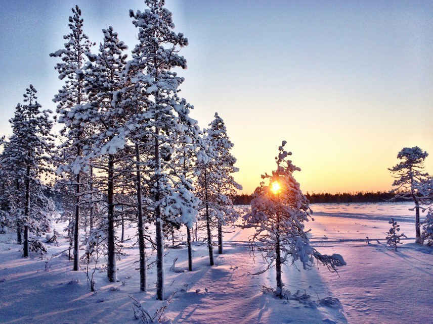 Embrace the Cold: My Favorite Frozen Destinations