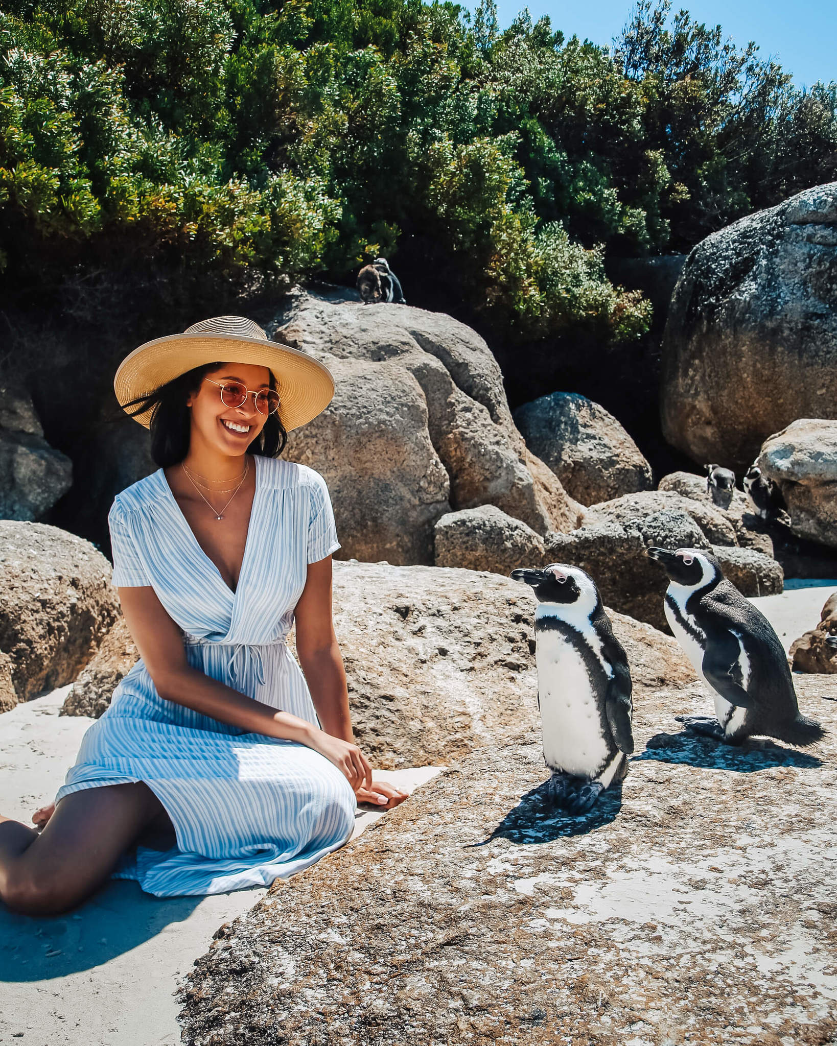 Highlights from my November South Africa Photography Tour