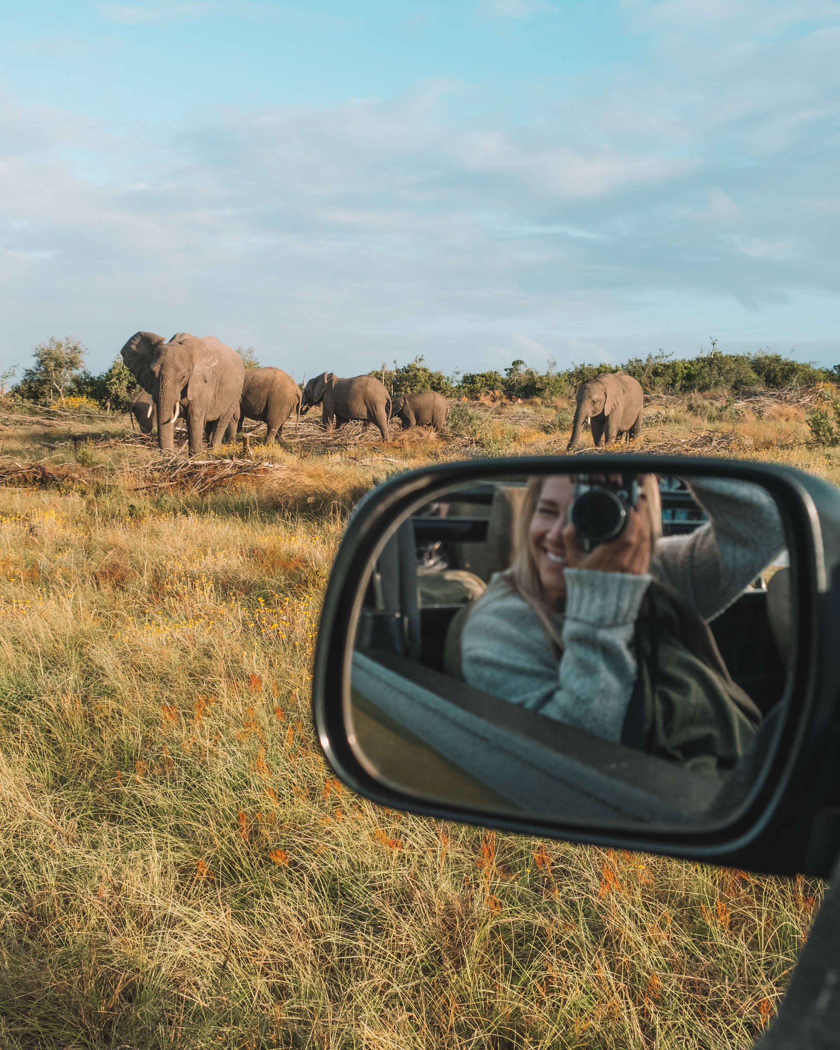 The Top Safari Destinations in Africa / The Blonde Abroad