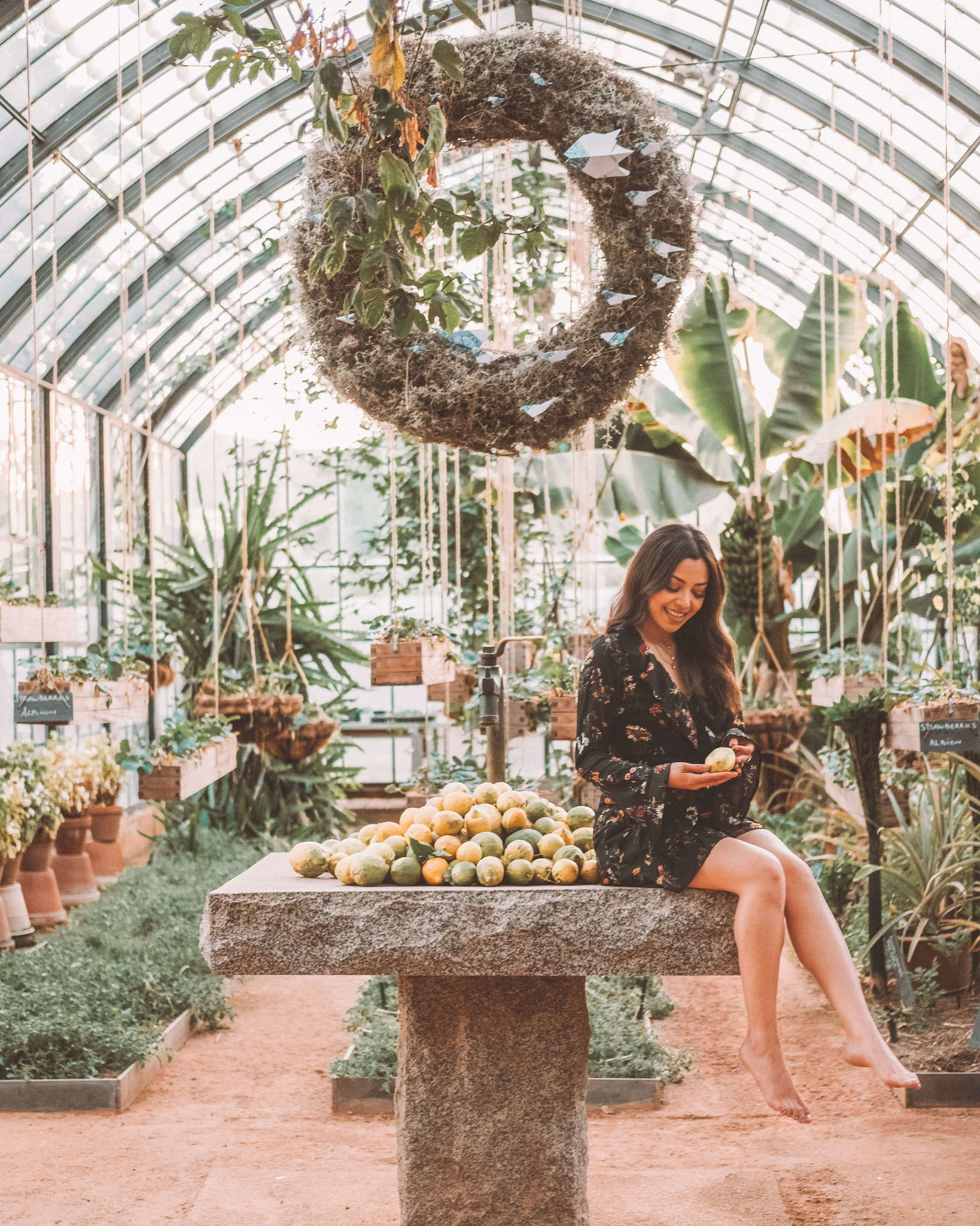 Highlights from my November South Africa Photography Tour