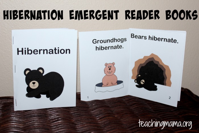 Hibernation Activities for Preschoolers – Teaching Mama
