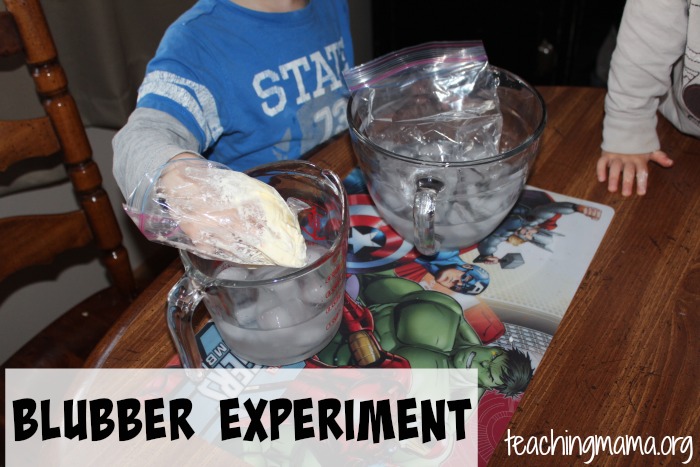Hibernation Activities for Preschoolers – Teaching Mama
