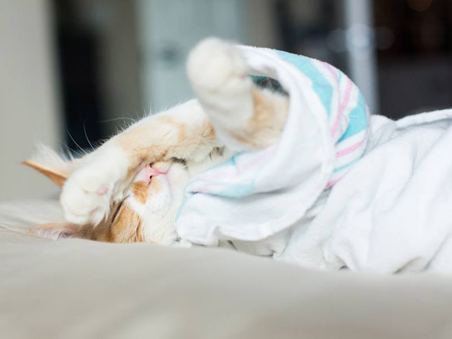 Couple Captures Their Baby’s Amazing First Moments