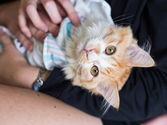 Couple Captures Their Baby’s Amazing First Moments