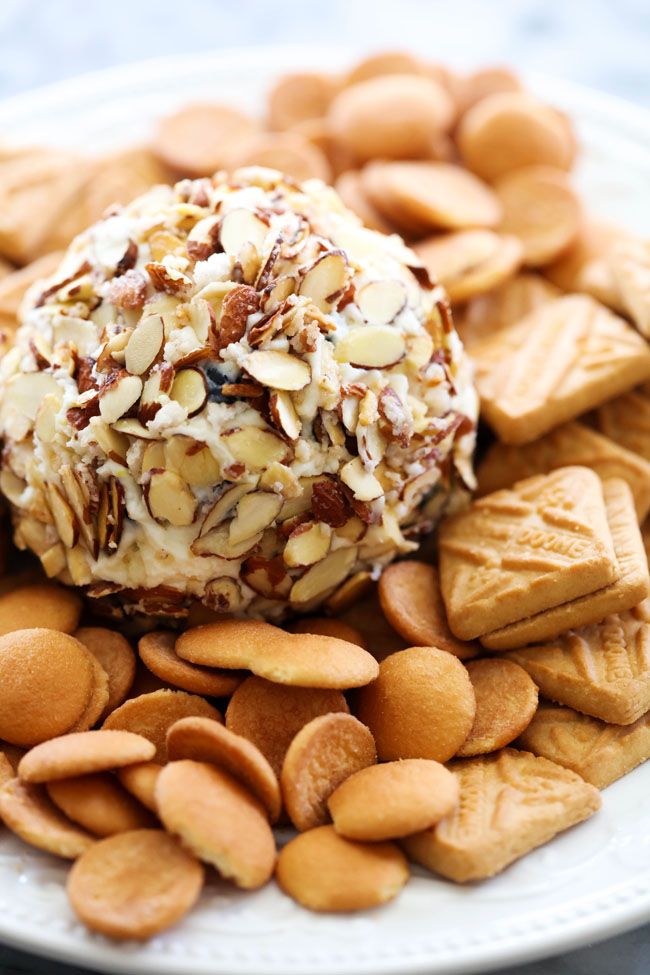 Lemon Blueberry Cheese Ball &#8211; Chef in Training