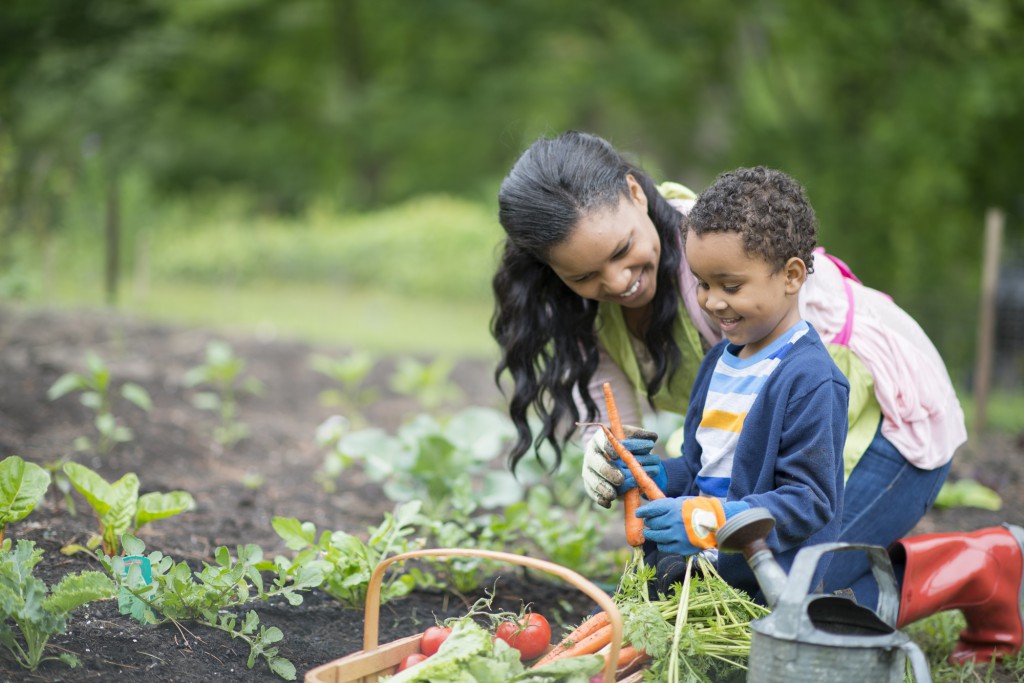10 Spring Break Activities for Families