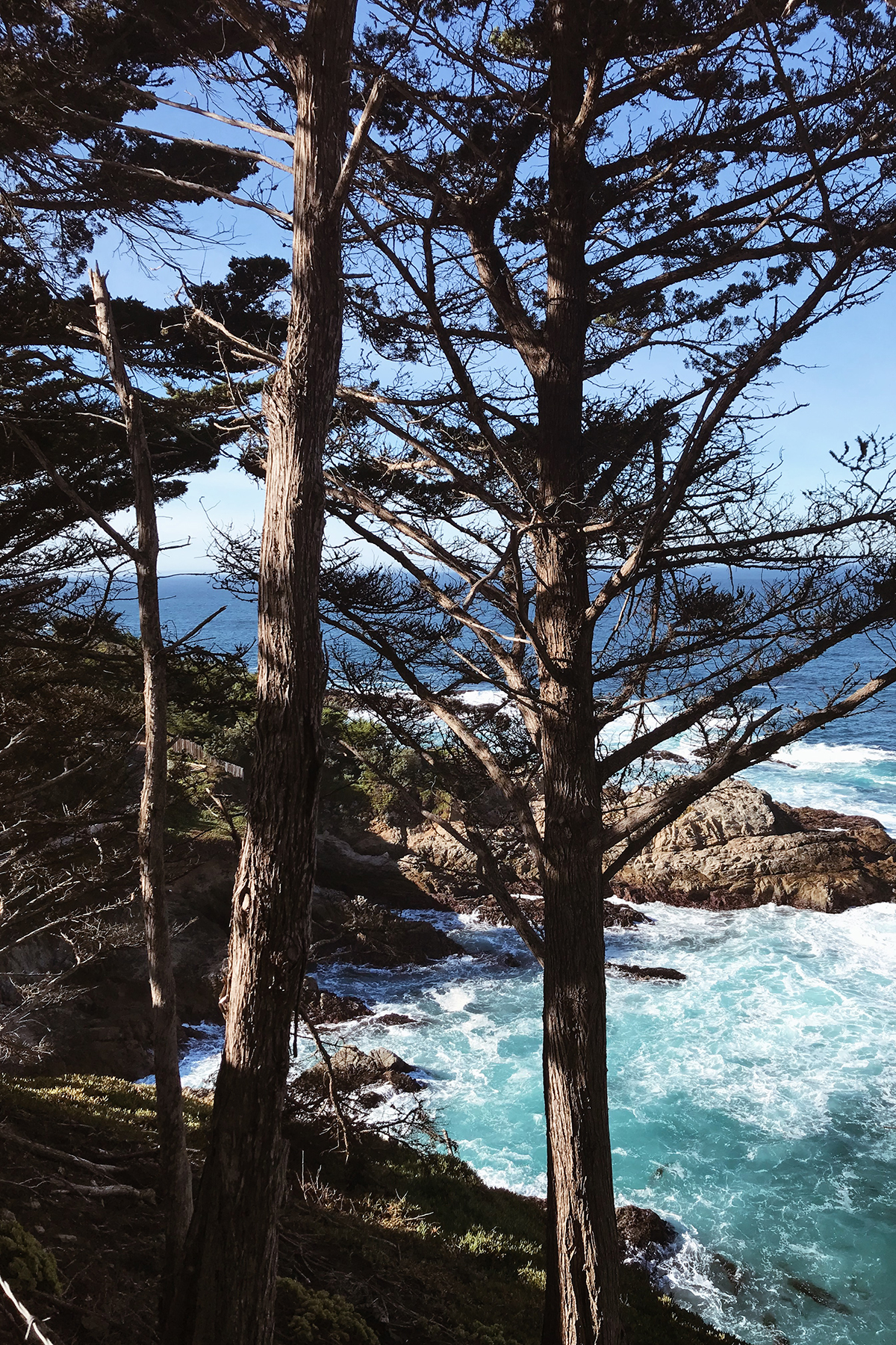 Visiting Big Sur
