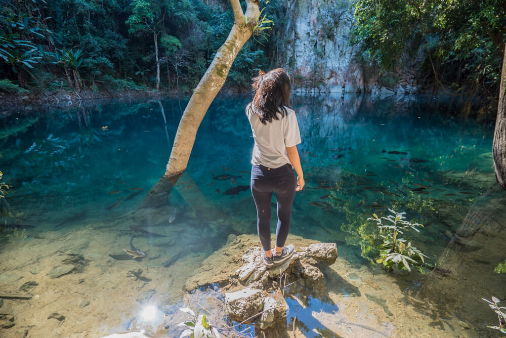Emerald Lake: A Cenote in Thailand?! 3 Emerald Lake: A Cenote in Thailand?!