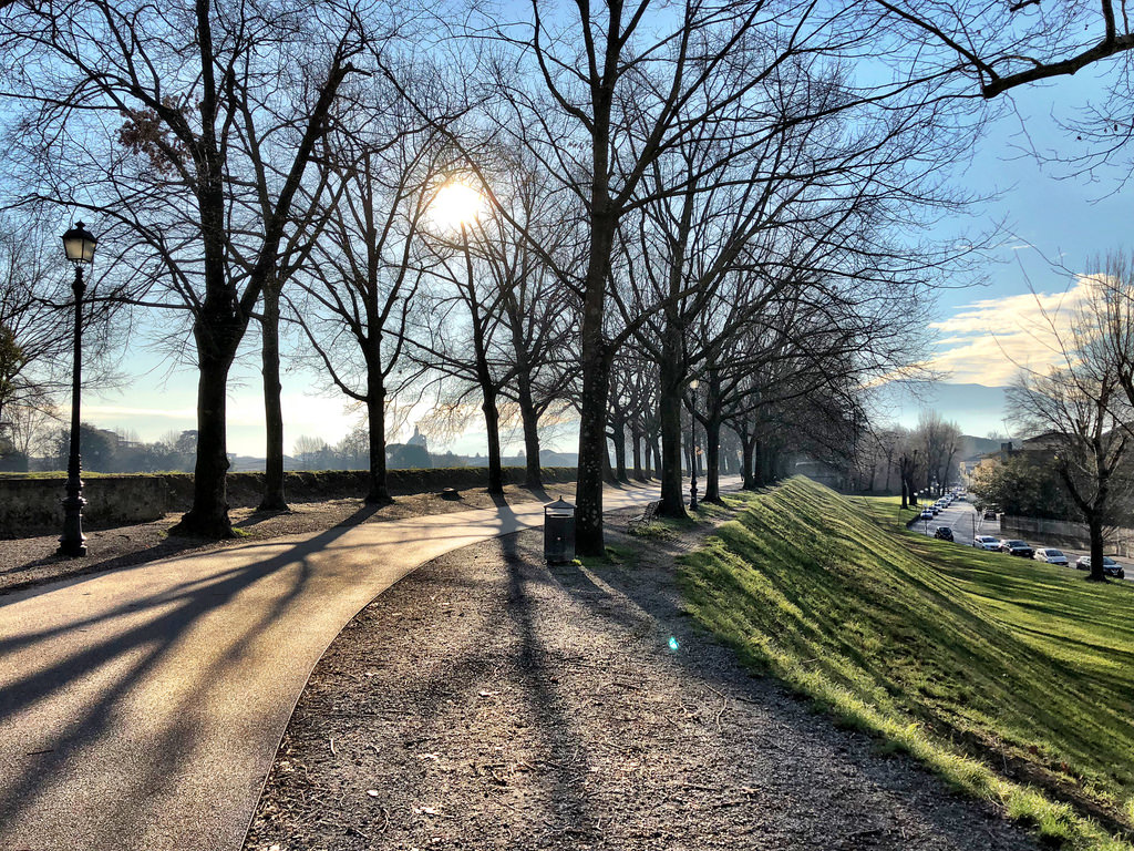 My Search to Discover Why Everyone Loves Lucca, Italy