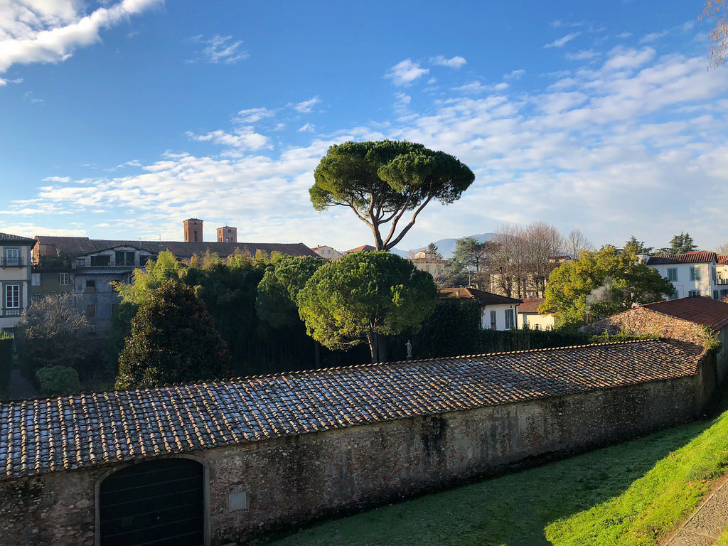 My Search to Discover Why Everyone Loves Lucca, Italy