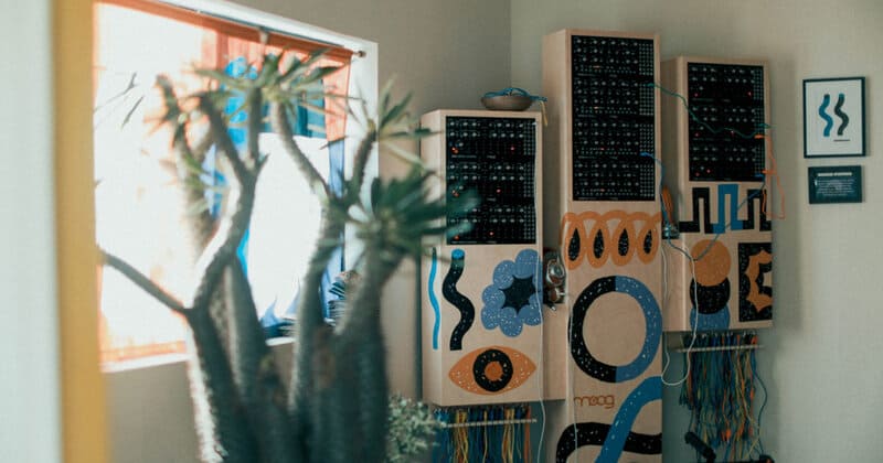 Moog’s cactus-powered synth and other highlights from its House of Electronicus