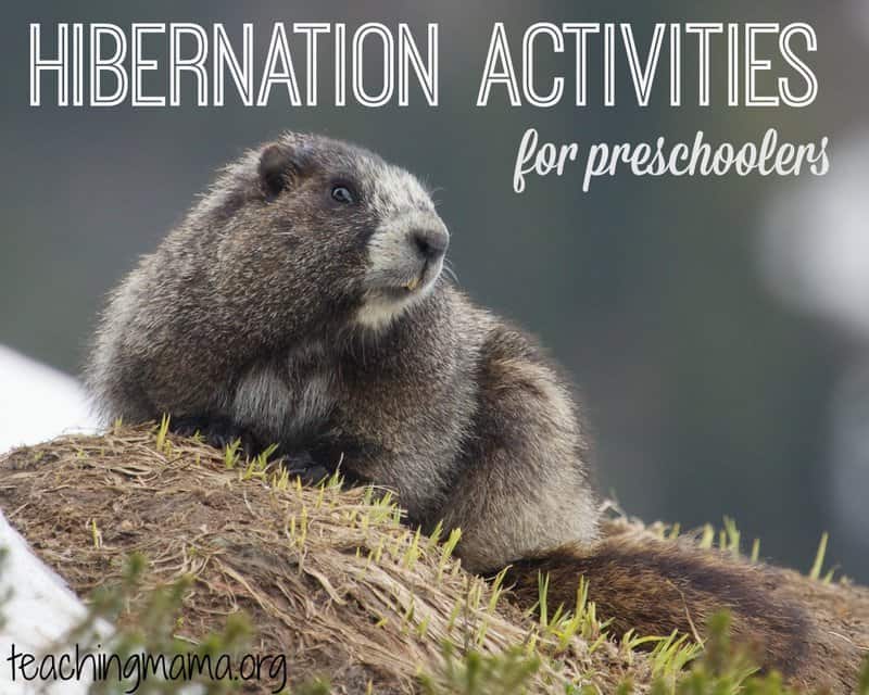 Hibernation Activities for Preschoolers – Teaching Mama