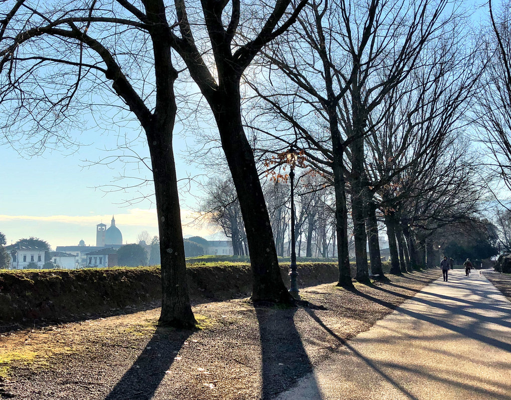 My Search to Discover Why Everyone Loves Lucca, Italy