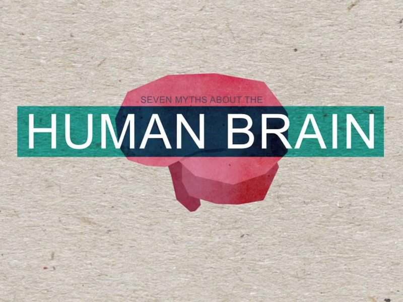 Seven Myths About the Human Brain