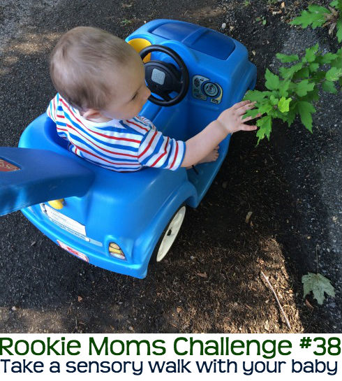 Take a sensory tour around the block