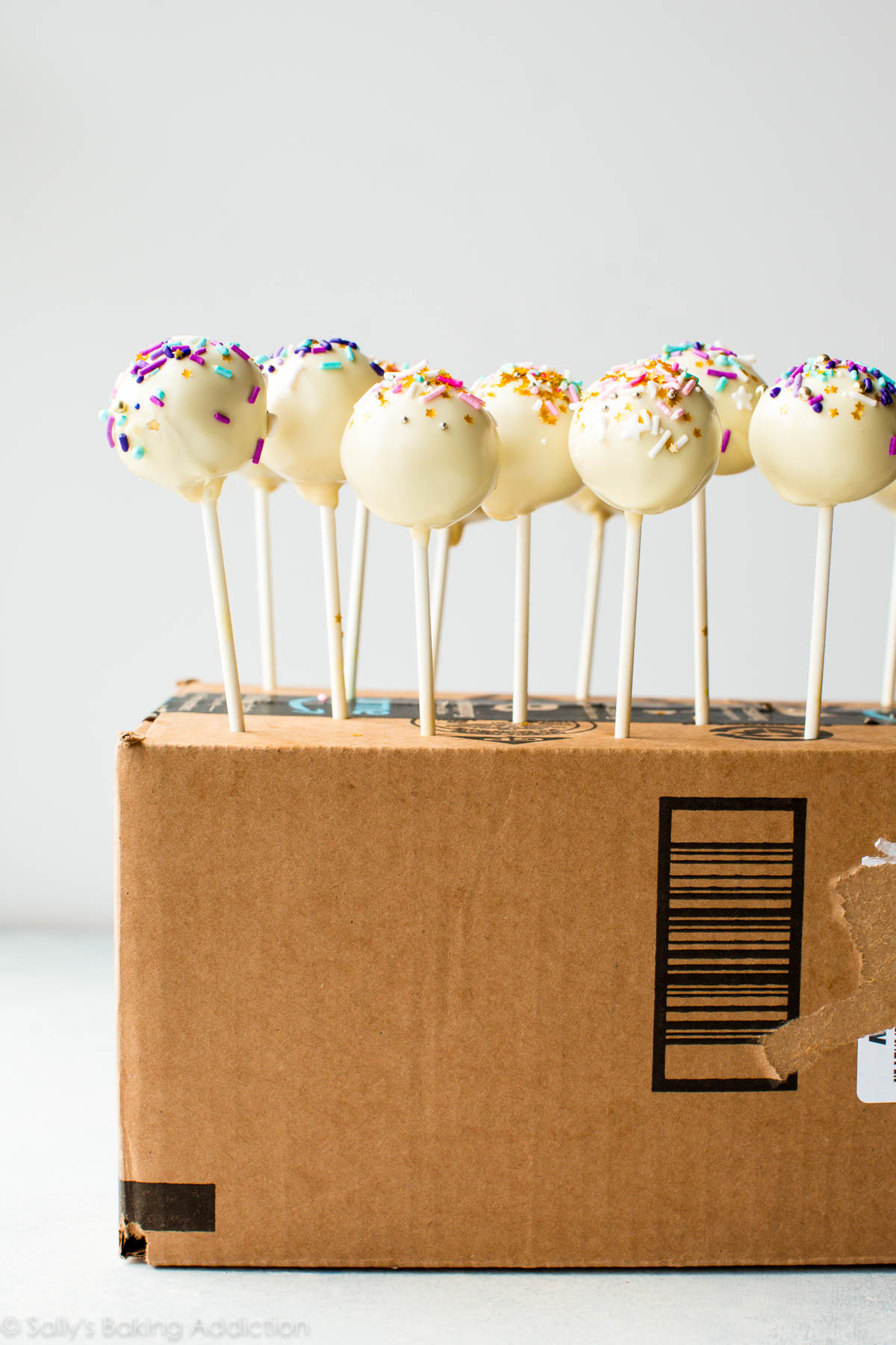 Chocolate Cake Pops – Sallys Baking Addiction