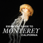 The Ultimate SF Bucket List – 101 Things to Do in San Francisco