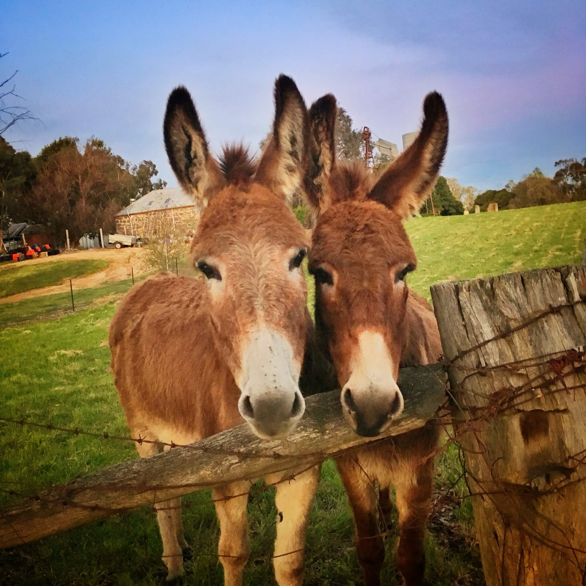 Meet A Mother Who Trekked 3000 Miles with her Daughter