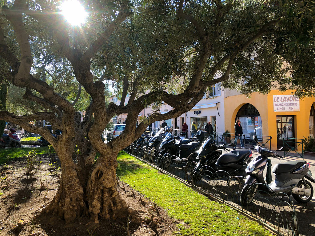 Do You Know the Way to Saint-Tropez…?