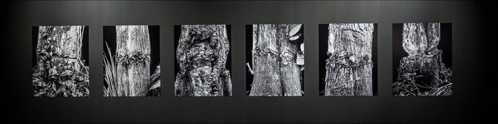 The World as Forest – a fabulously perceptive and captivating exhibition