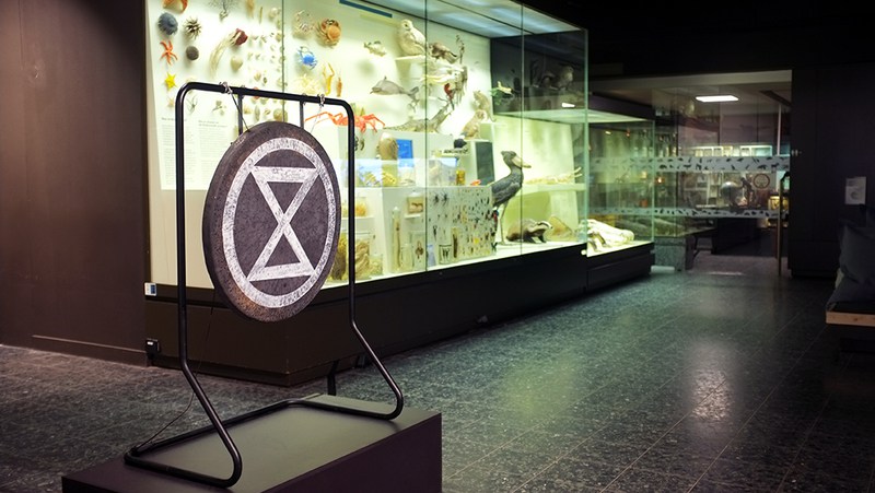 The World as Forest – a fabulously perceptive and captivating exhibition