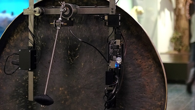 The World as Forest – a fabulously perceptive and captivating exhibition