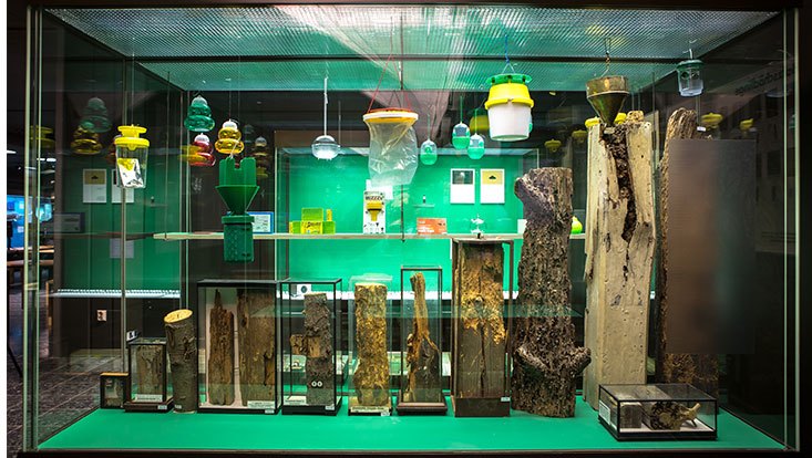 The World as Forest – a fabulously perceptive and captivating exhibition