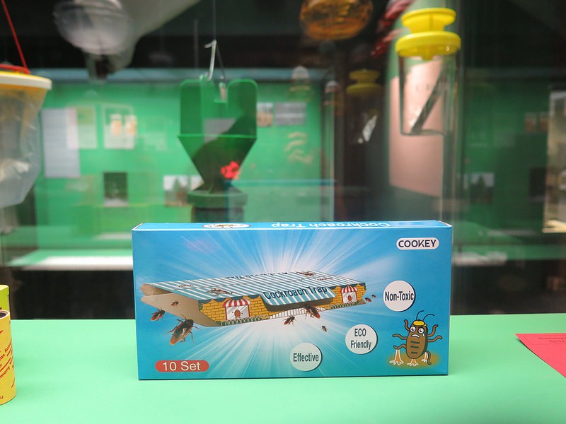 The World as Forest – a fabulously perceptive and captivating exhibition