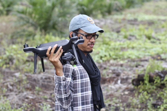The World as Forest – a fabulously perceptive and captivating exhibition
